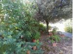 Villa in vendita a Rosignano Marittimo