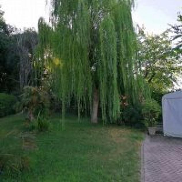 Villa Fabbri