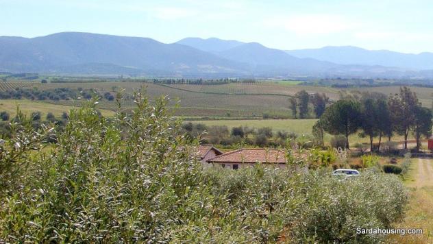 Donori, a 2 km dal paese, complesso agricolo-turistico di recente costruzione - Foto 2