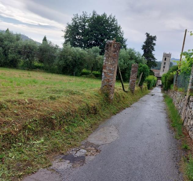 TERRENO AGRICOLO di 10000 mq (CAMAIORE - pieve di camaiore) rif. 1001 - Foto 2