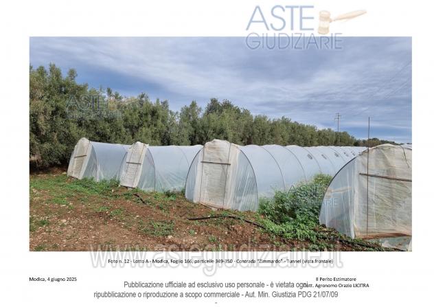 IMMOBILI-ALTRA CATEGORIA-Contrada Zimmardo-Bellamagna - Foto 4