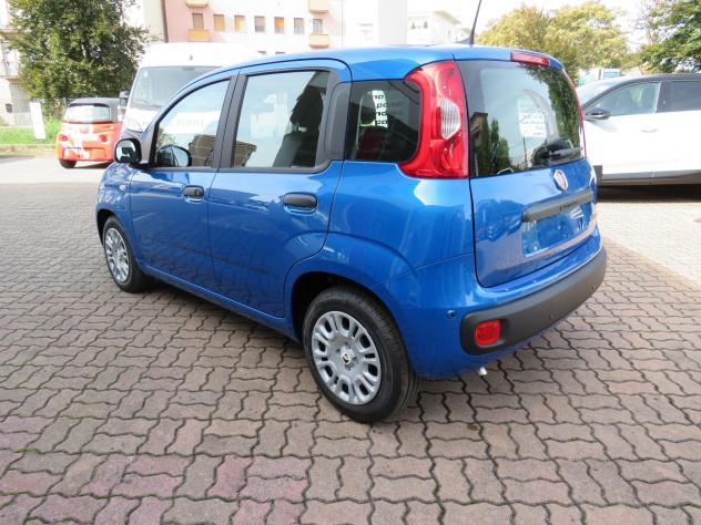 FIAT Pandina 1.0 FireFly 65cv S&S 6m Hybrid Icon ( 5 POSTI ) - Foto 4