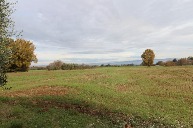 Casa singola in vendita a Le Grazie - Colle di Val d'Elsa 452 mq Rif: 1375595 - Foto 6