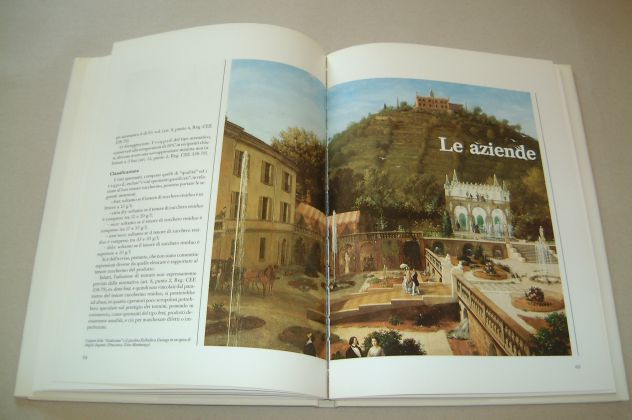 Spumanti in Franciacorta - Ottorino Milesi - Foto 7