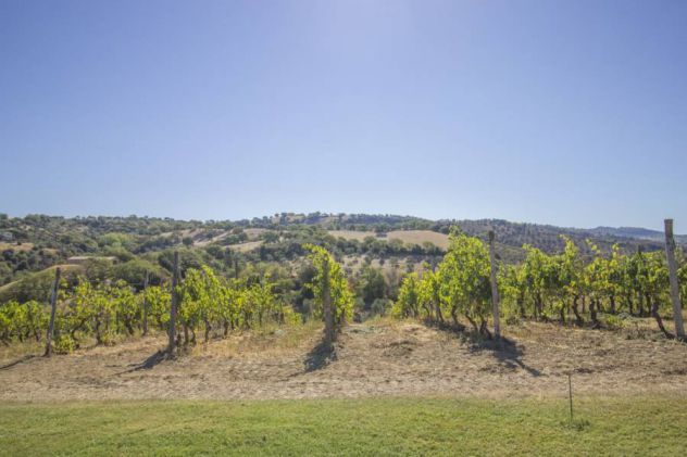 TOSCANA ..... Ovunque in Toscana - Foto 6