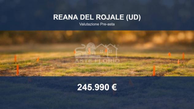 Immobile in asta di 22241 m² in vendita a Reana del Rojale