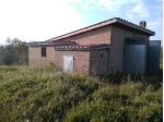 Uliveto Maremma Toscana (Affaronissimo)