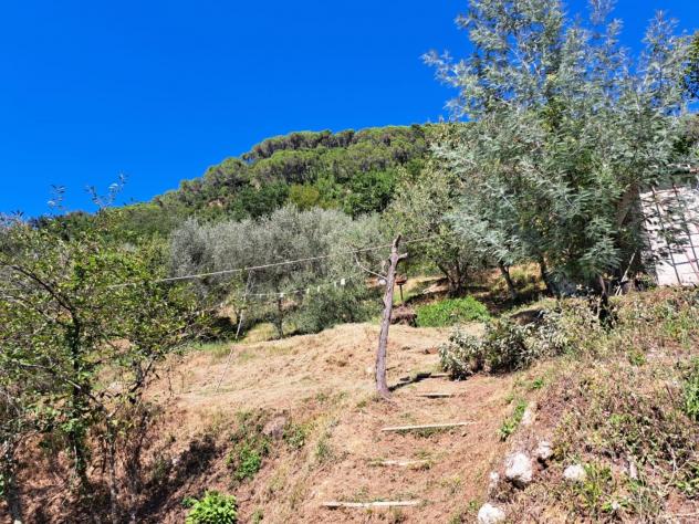 Casa singola in vendita a Mirteto - Massa 135 mq Rif: 1177447 - Foto 2