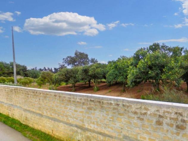 Immobile in asta di 27075 m² in vendita a Custonaci - Foto 15