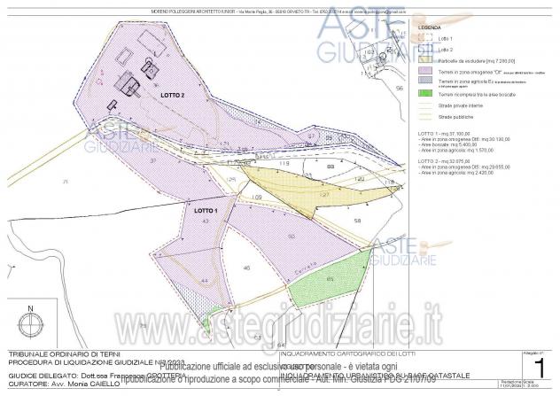 IMMOBILI-ALTRA CATEGORIA-Località Mortaro - Foto 3