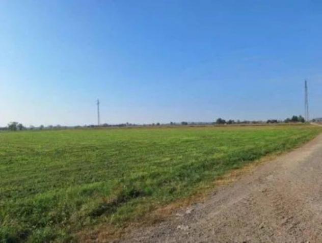 Immobile in asta di 15170 m² in vendita a Brembio - Foto 3