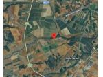 Immobile in asta di 26675 m² in vendita a Roggiano Gravina