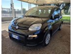 FIAT Panda Panda 1.0 firefly hybrid s&s 70cv 5p.ti