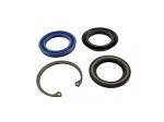 Bosch Guarnizione F00R0P0253