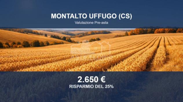 Immobile in asta di 1179 m² in vendita a Montalto Uffugo