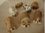 Soprammobili collezione cani e gatti
