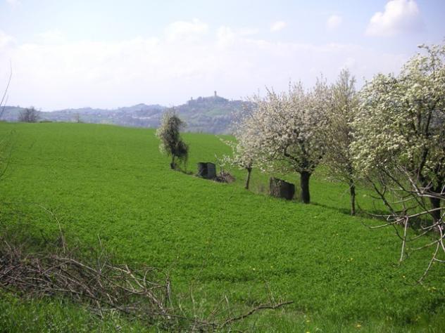 Rustico in vendita a Murazzano - Foto 16