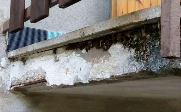 Immobile in asta di 165 m² con 5 locali e box auto in vendita a Altissimo - Foto 5