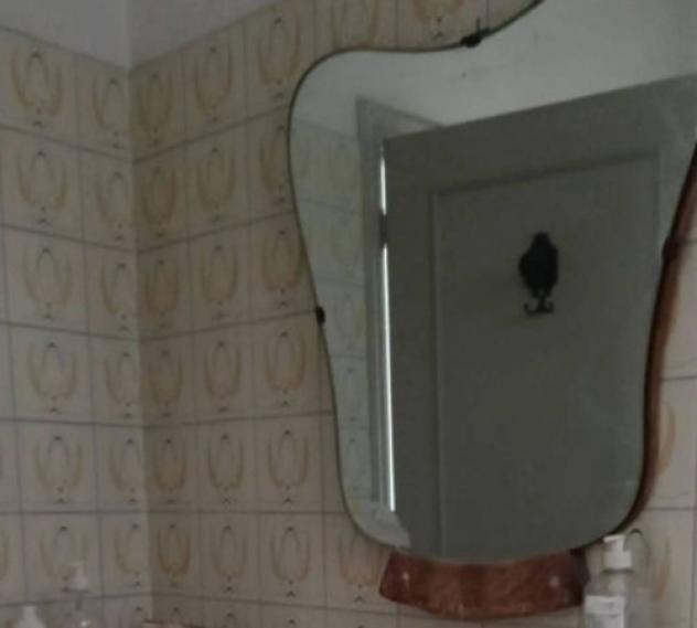 Immobile in asta di 112 m² con più di 5 locali in vendita a Terni - Foto 4