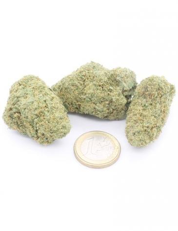 Zkittlez - Foto 3