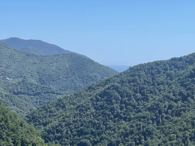Quadrilocale in vendita a Uscio - Foto 4