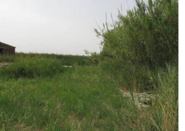 Immobile in asta di 1248 m² in vendita a Santa Marinella - Foto 2