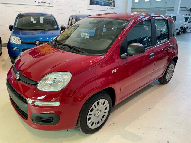 FIAT Panda 1.0 FireFly 70cv S&S Hybrid Icon - Foto 3