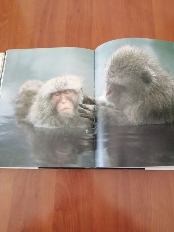 Alla Scoperta Del Pianeta Terra 1988 Touring Club Italiano Cde Mondadori - Foto 5