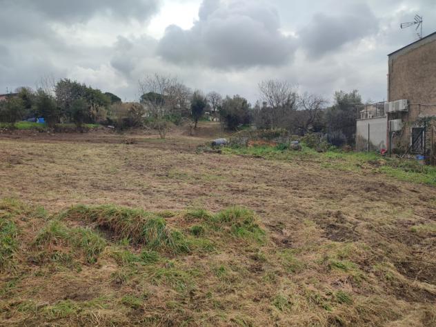 Agricolo in Vicolo Sant'Antonio in Canepine - Foto 10
