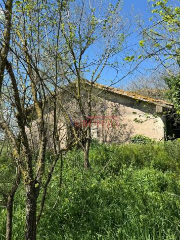 Rustico / Casale - Rif. 2482 - Foto 2