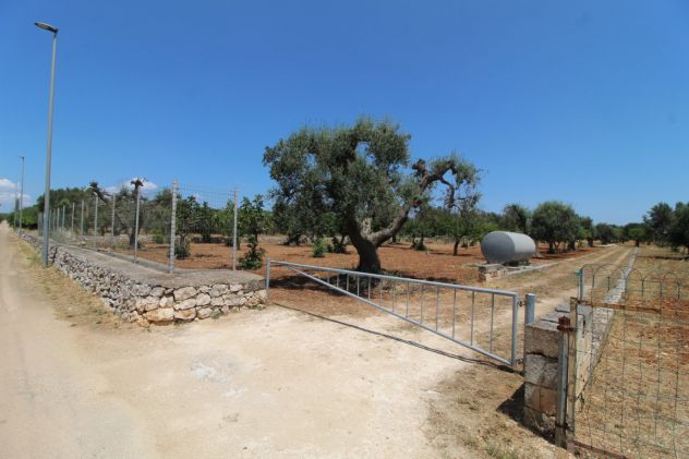 TERRENO AGRICOLO VIA DELLE ROSE GROTTAGLIE - Foto 2