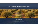 Immobile in asta di 17906 m² in vendita a Villanova Monteleone