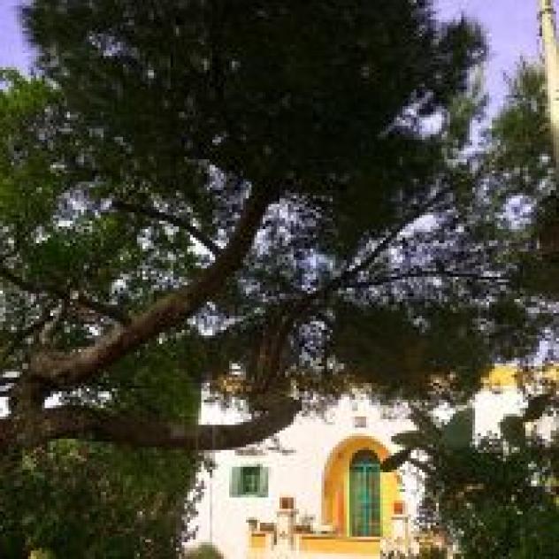 Millefiori B&B