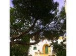 Millefiori B&B