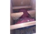 Cambio REVISIONATO IVECO 8589255 50.8-9