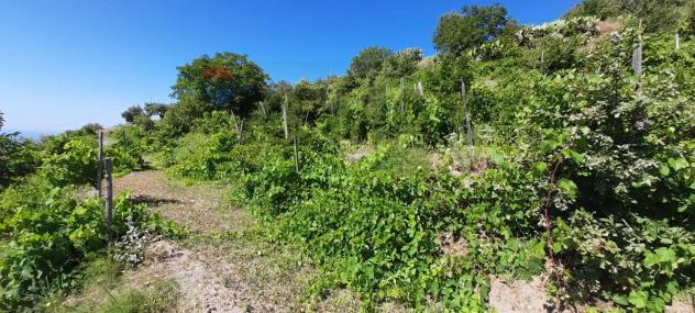 Rustico in vendita a Graniti - Foto 17