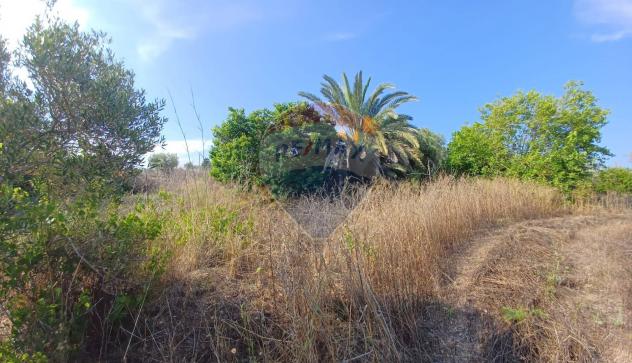 Terreno in vendita a Noto - Foto 2