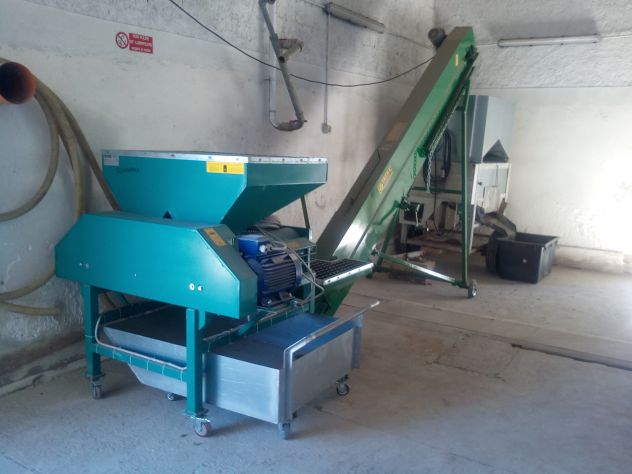 AZIENDA SCANDURRA NISSORIA LAVORAZIONE MANDORLE SMALLATURA E SGUSCIATURA CONTO T - Foto 2