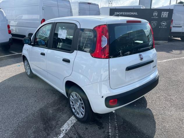 FIAT Pandina Pandina 1.0 firefly hybrid Icon s&s 65cv - Foto 9