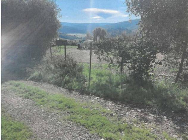 Immobile in asta di 12 m² in vendita a Carmignano - Foto 9