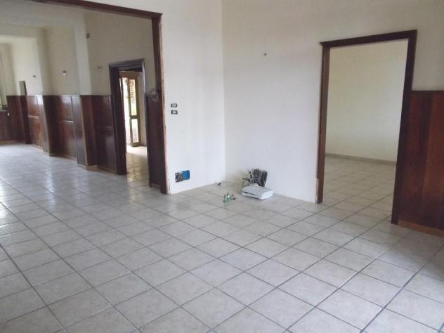 Struttura per uso commerciale in vendita a Migliarino - Vecchiano 180 mq Rif: 1394211 - Foto 9