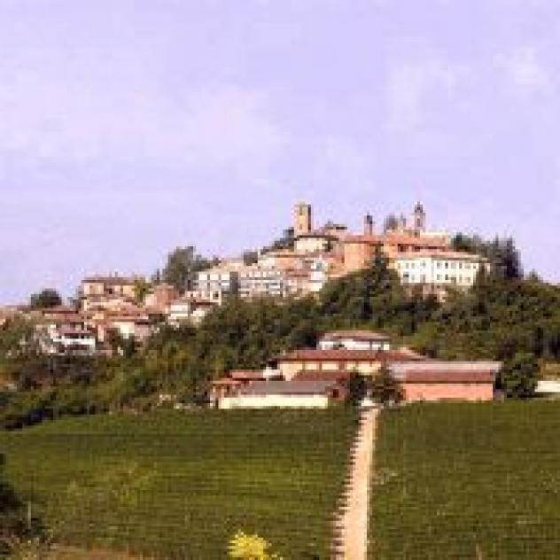Societa' Agricola Semplice Fattoria San Giuliano - Foto 4
