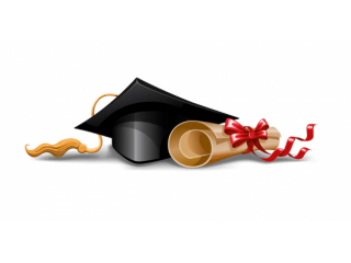 Tesi di Laurea
