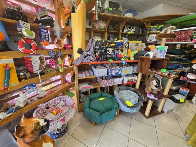 Cedesi attivita’ storica Pet Shop (dal 2005) Viterbo Via Falcone e Borsellino 27 - Foto 4
