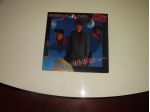 UN VINILE IN OTTIME CONDIZIONI,COMPLETO,ORIGINALE,33 GIRI:THOMPSON TWINS"INTO TH