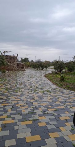 Terreno - Foto 4