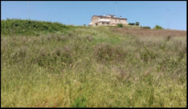 Immobile in asta di 555 m² in vendita a Montegranaro - Foto 5