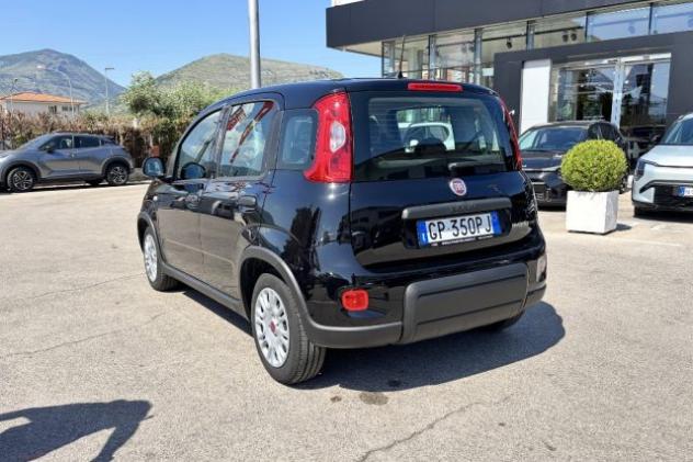 FIAT Panda 1.0 FireFly S&S Hybrid City Life rif. 23807580 - Foto 5