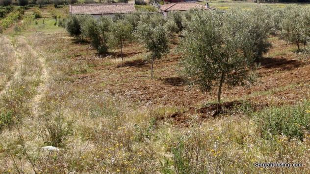 Donori, a 2 km dal paese, complesso agricolo-turistico di recente costruzione - Foto 4