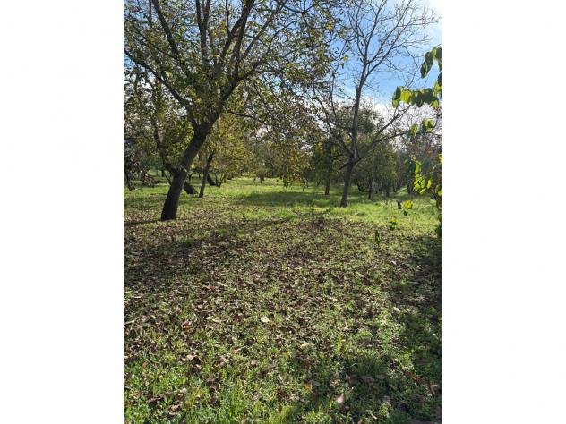 Agricolo in Via Cinquevie - Foto 2